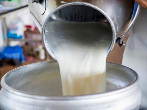 دلیل افزایش قیمت شیر به زبان معاون وزیر جهاد