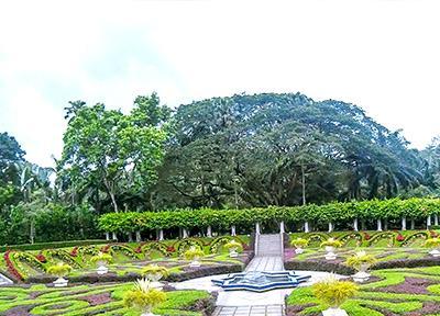 تور کوالالامپور: باغ گیاه شناسی پردانا، قدیمی ترین باغ وسیع در کوالالامپور