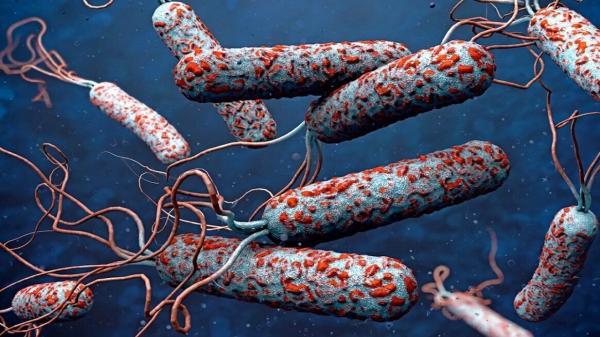 شناسایی یک مورد ابتلا به بیماری وبا در اسدآباد
